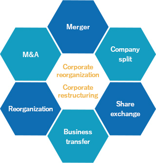 Corporate reorganization/restructuring