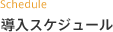 導入スケジュール
