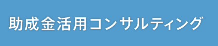 助成金活用コンサルティング