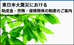 東日本大震災における助成金・労務・保険関係の制度のご案内