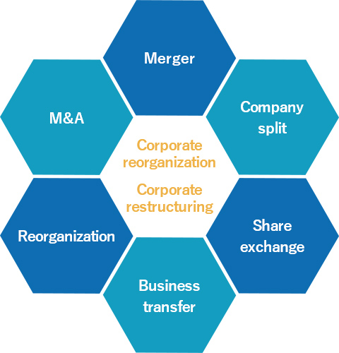 Corporate reorganization/restructuring